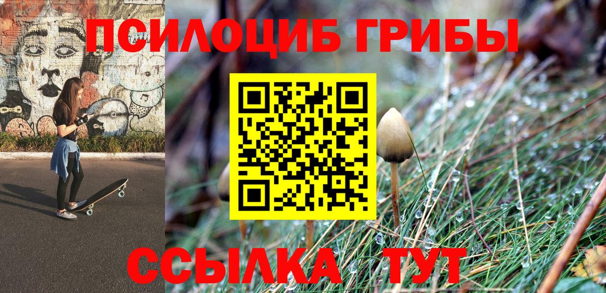 Галлюциногенные грибы Psilocybine cubensis Кудрово