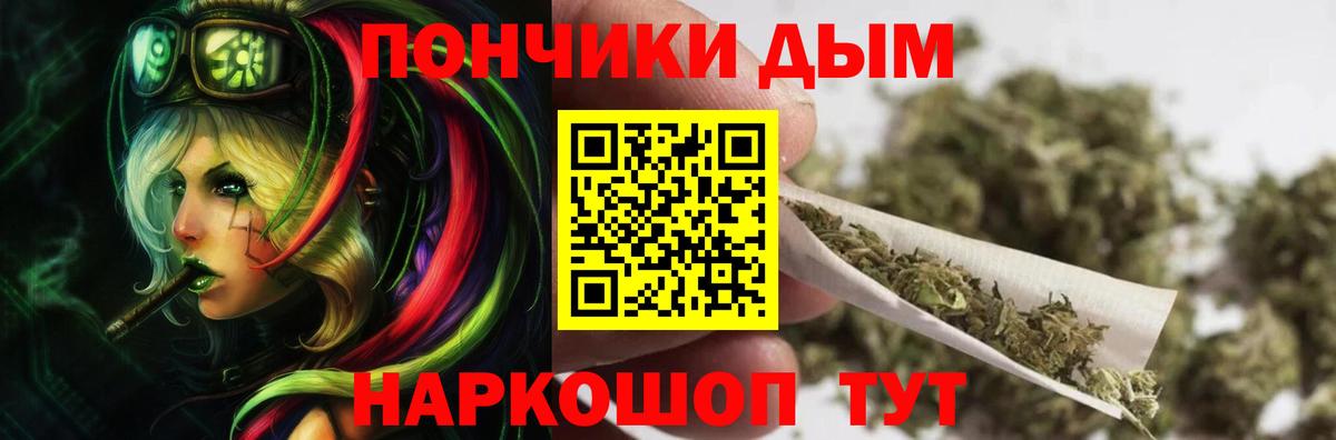 Бошки марихуана сатива Кудрово